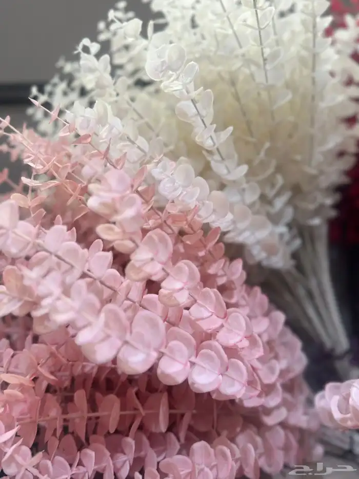 هدايا تغليف اكسوارات 75