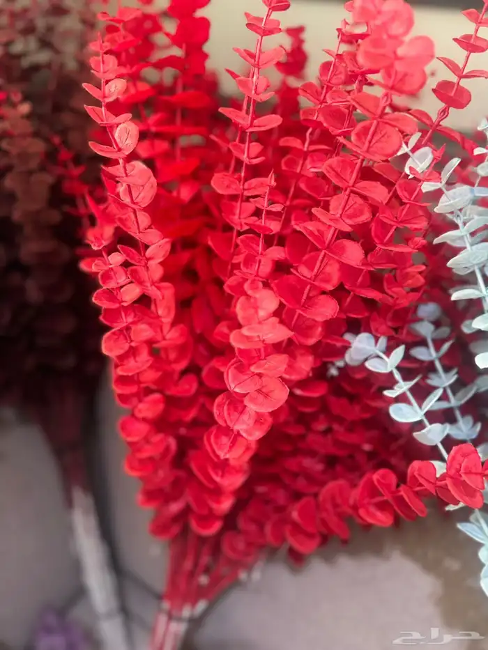 هدايا تغليف اكسوارات 73