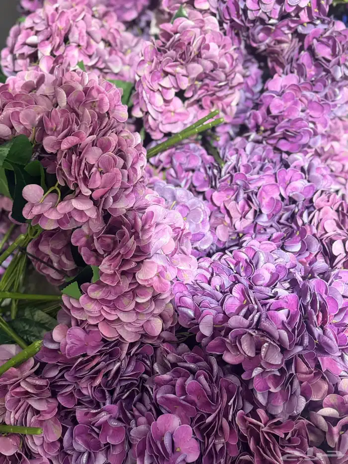 هدايا تغليف اكسوارات 61