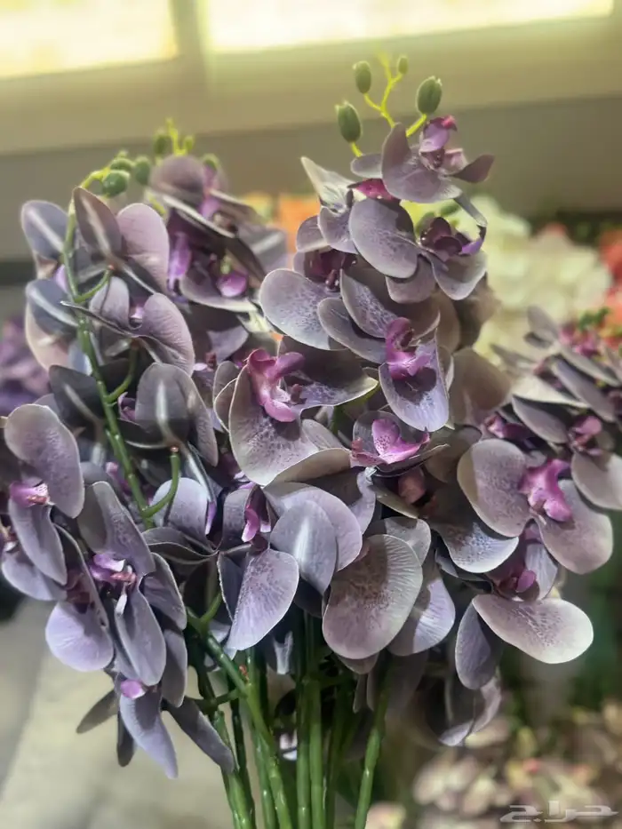 هدايا تغليف اكسوارات 89