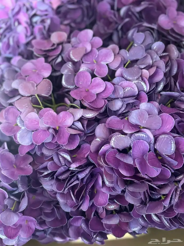 هدايا تغليف اكسوارات 60