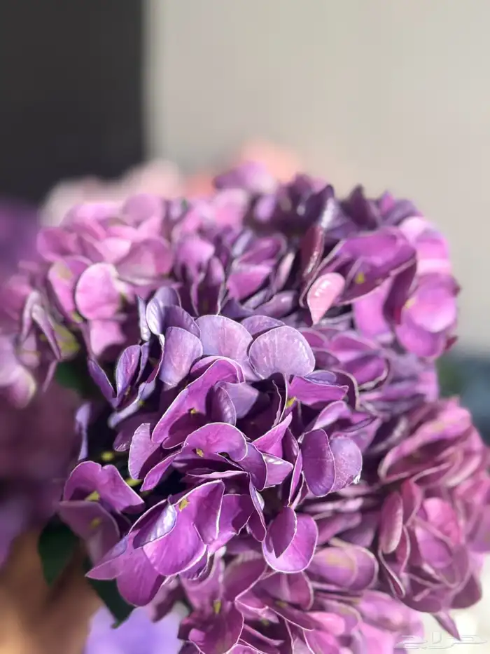 هدايا تغليف اكسوارات 62