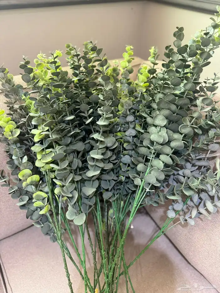 هدايا تغليف اكسوارات 32