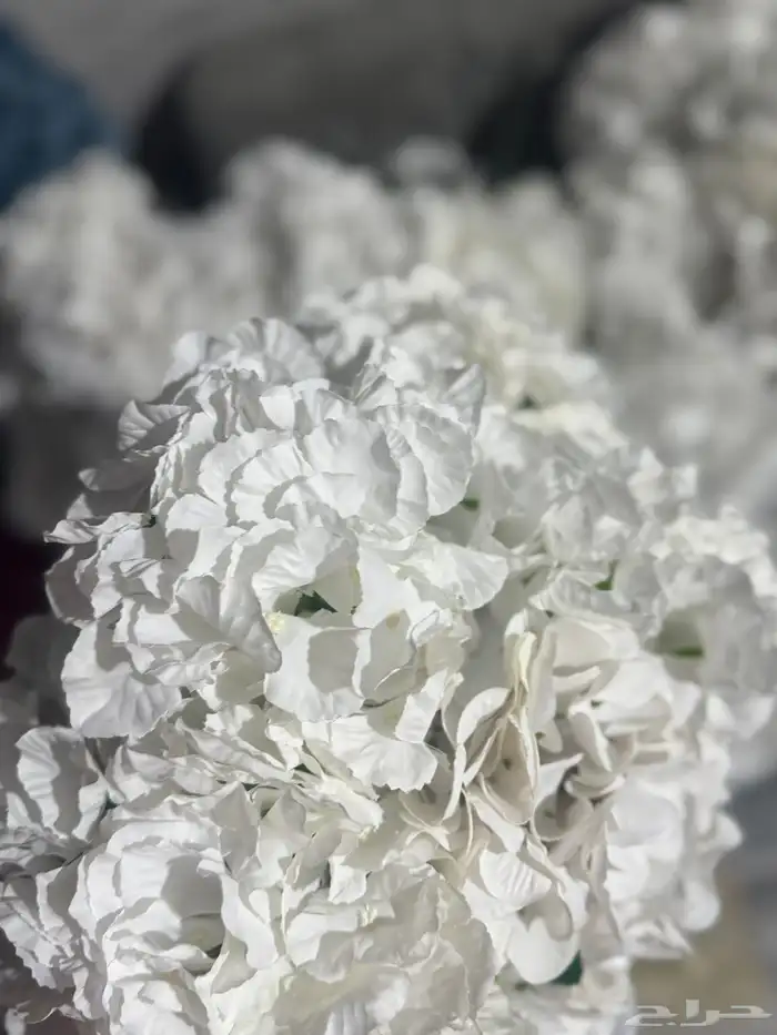 هدايا تغليف اكسوارات 66