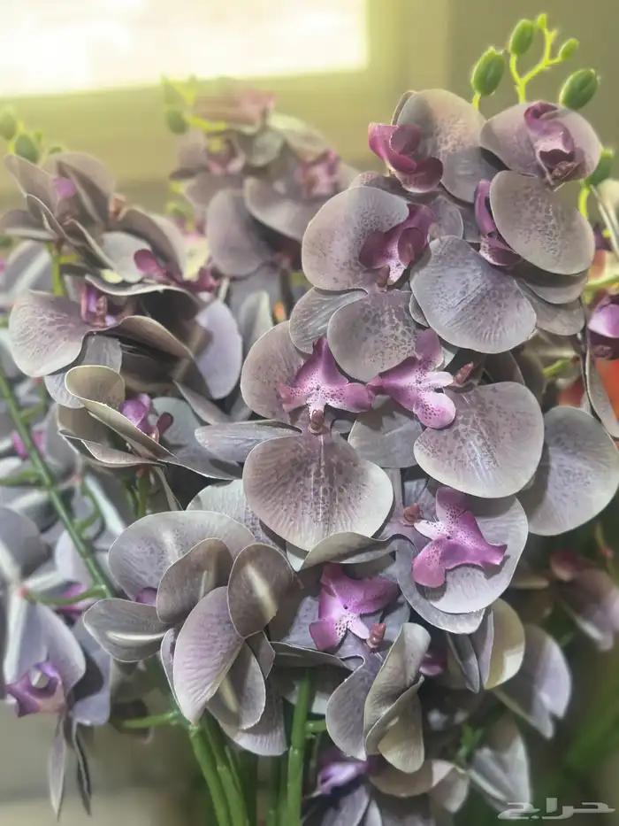 هدايا تغليف اكسوارات 98