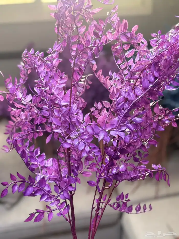 هدايا تغليف اكسوارات 37