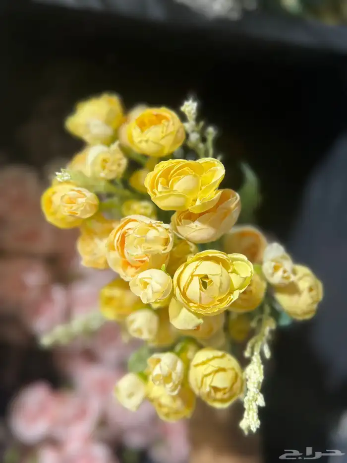 هدايا تغليف اكسوارات 45