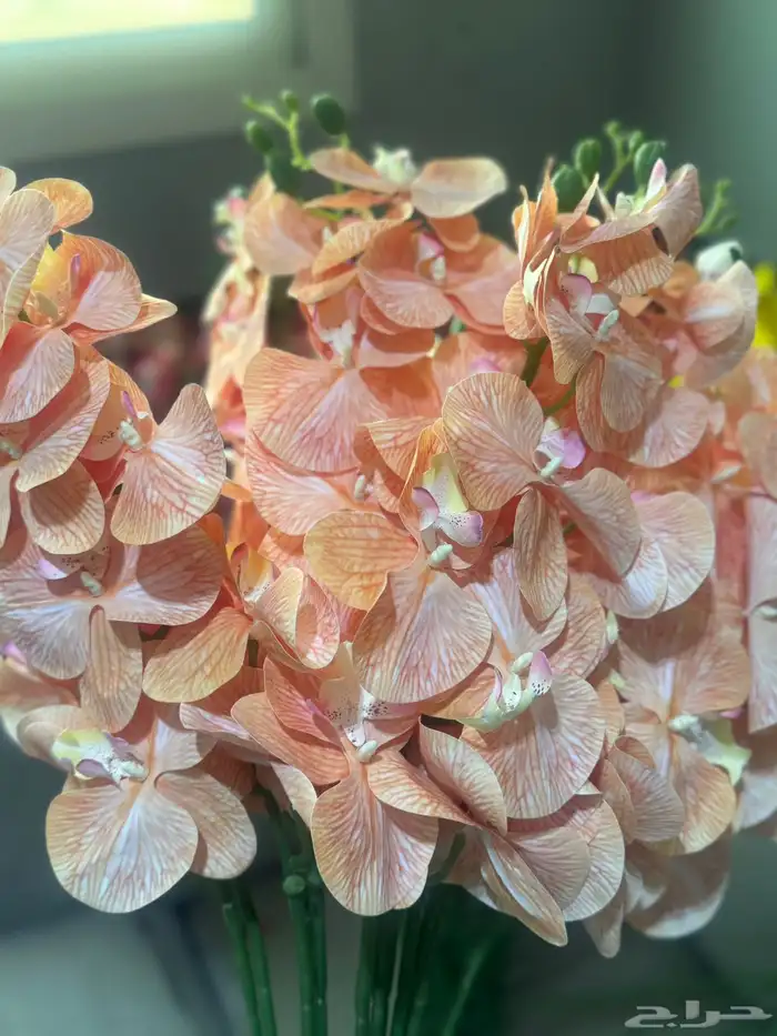 هدايا تغليف اكسوارات 95