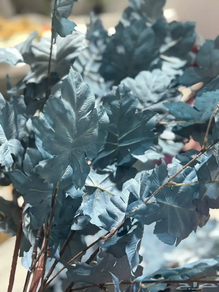 هدايا تغليف اكسوارات 41