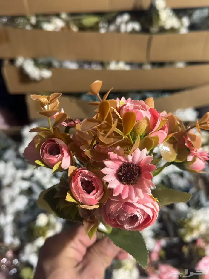 هدايا تغليف اكسوارات 51