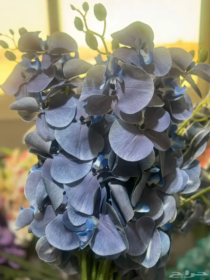 هدايا تغليف اكسوارات 83