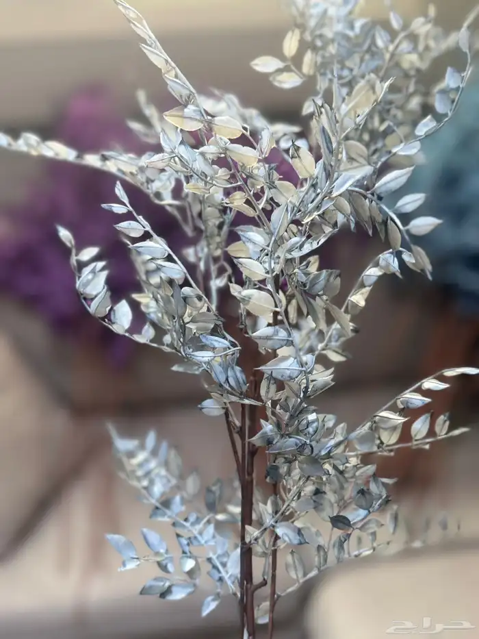 هدايا تغليف اكسوارات 36