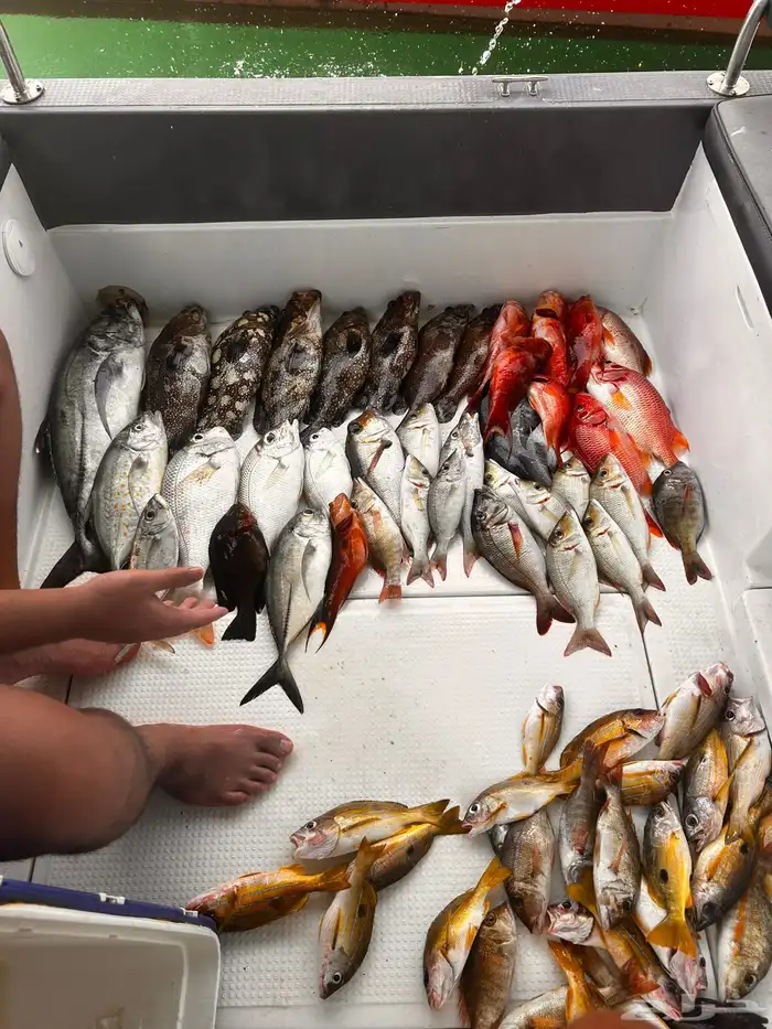 رحلات بحرية بجميع أنواعها صيد بياضها نزهه 1