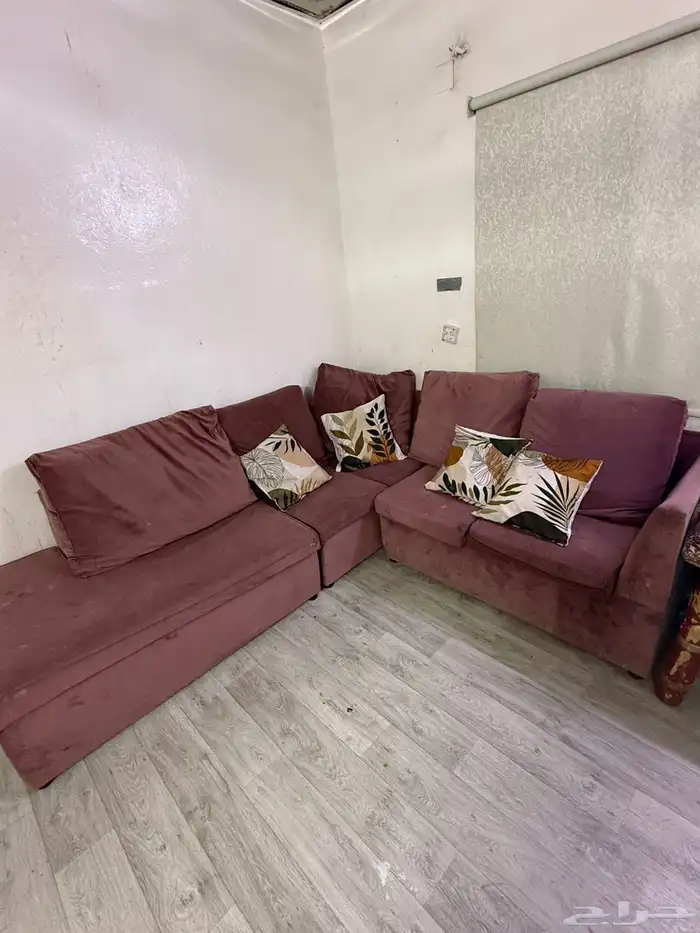 كنب. حرف L. نضيف 0