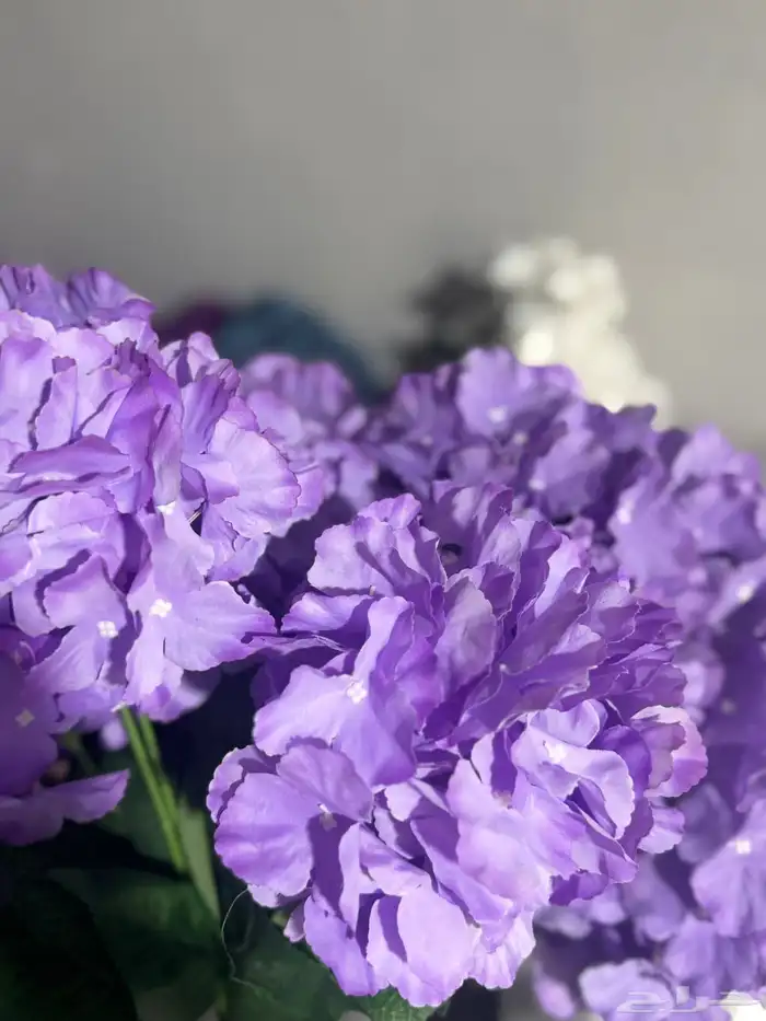 هدايا تغليف اكسوارات 63