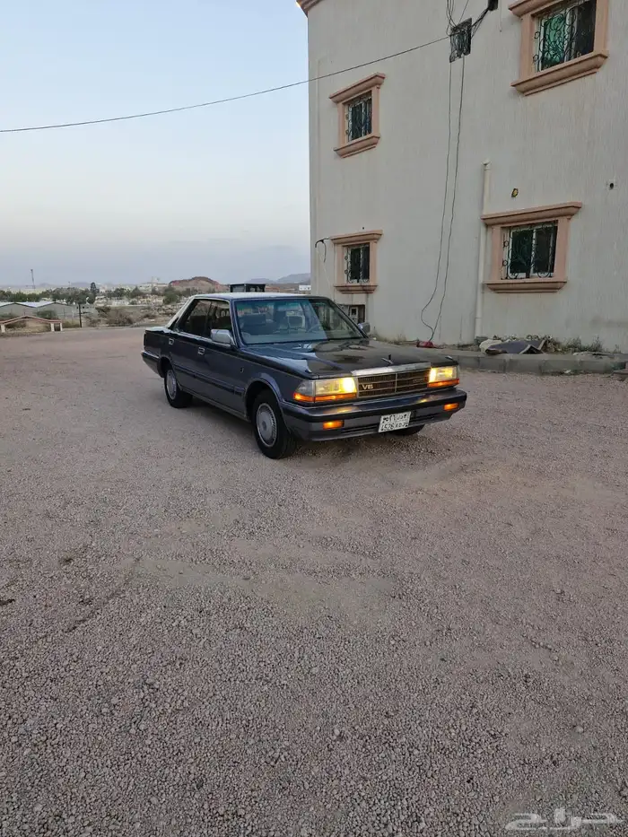 سيدرك نظيفه 0