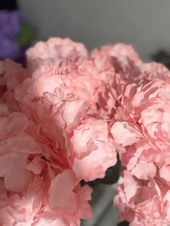 هدايا تغليف اكسوارات 64