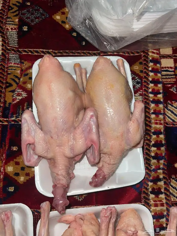 حمام سوبر جامبو 2