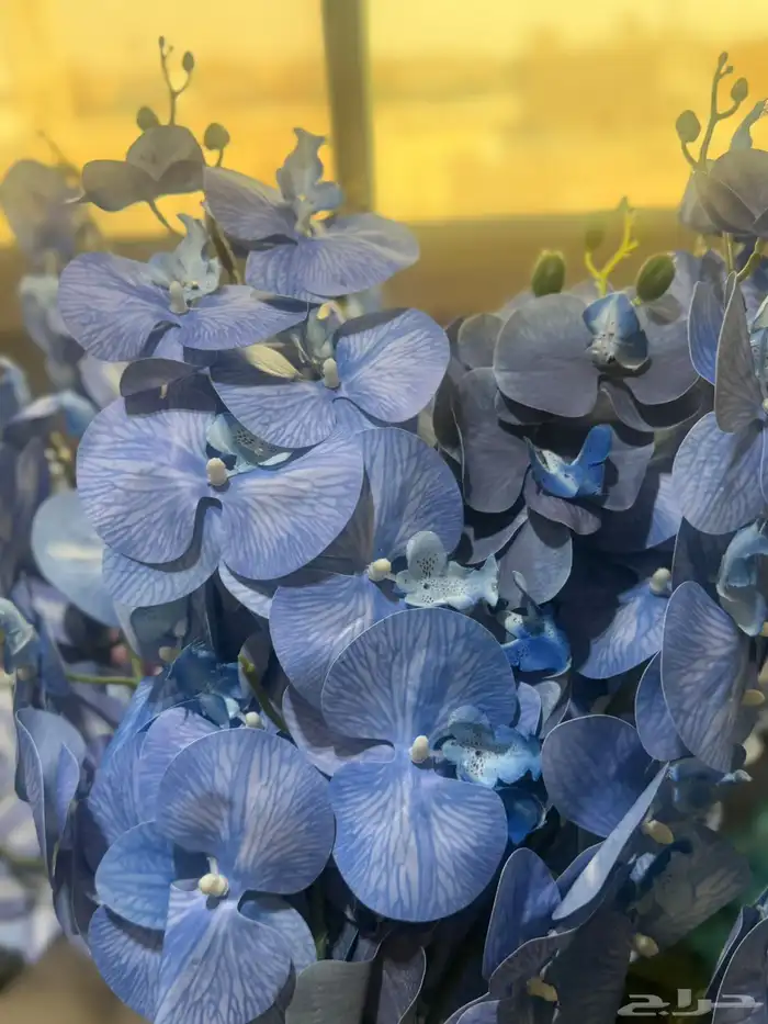 هدايا تغليف اكسوارات 93