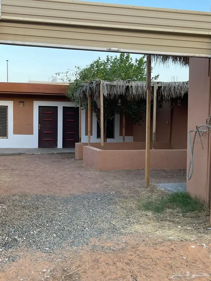 للايجار استراحة شباب بالشفاء 11