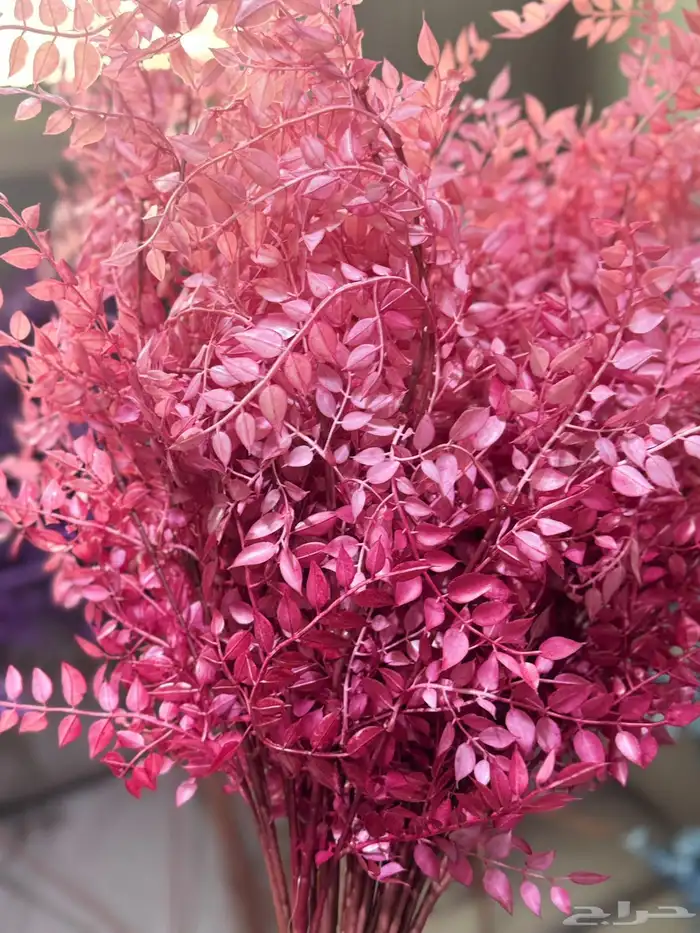 هدايا تغليف اكسوارات 35