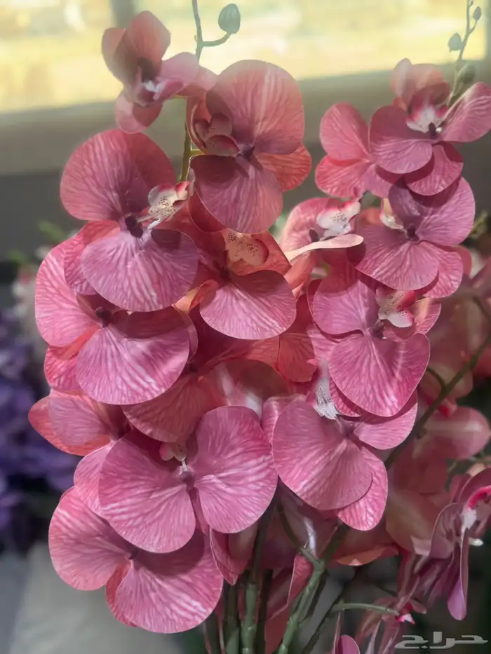 هدايا تغليف اكسوارات 90