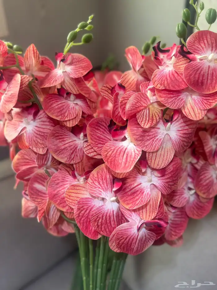 هدايا تغليف اكسوارات 99