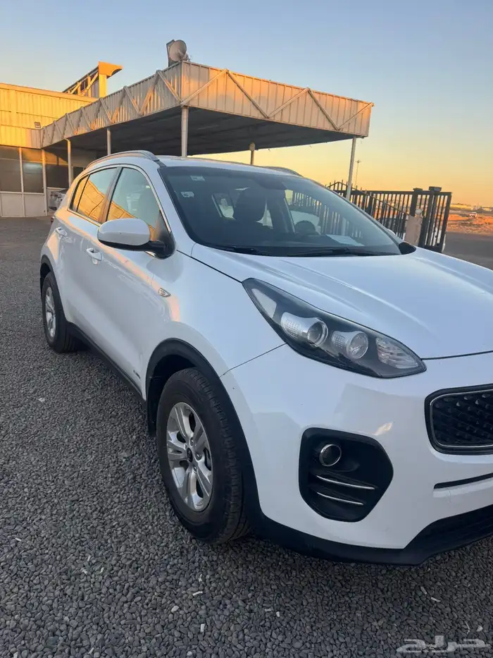 للبيع كيا سبورتاج 2017 ابيض 6