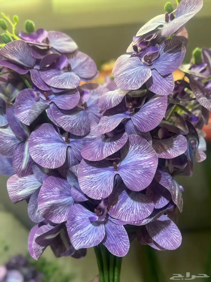 هدايا تغليف اكسوارات 91