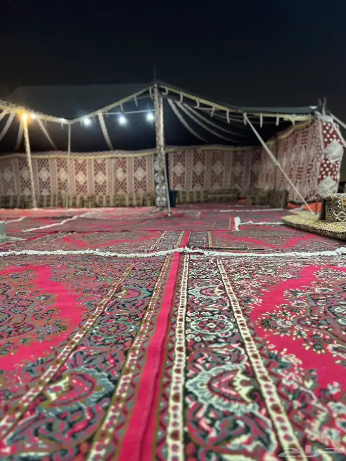 مخيم للايجار عروض الاجازه 300 6