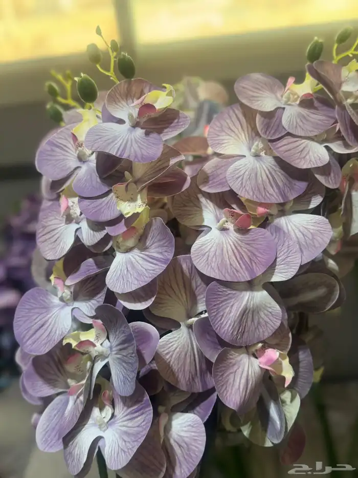 هدايا تغليف اكسوارات 92