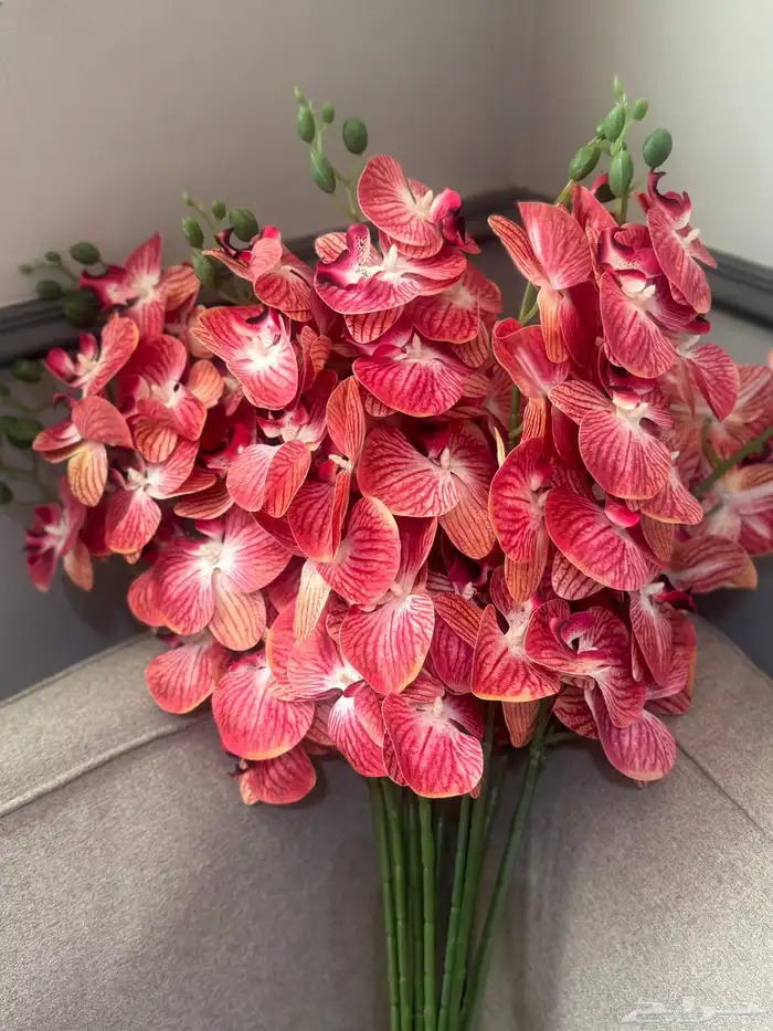 هدايا تغليف اكسوارات 97