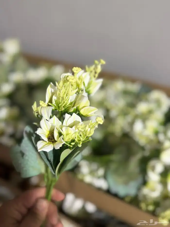 هدايا تغليف اكسوارات 55