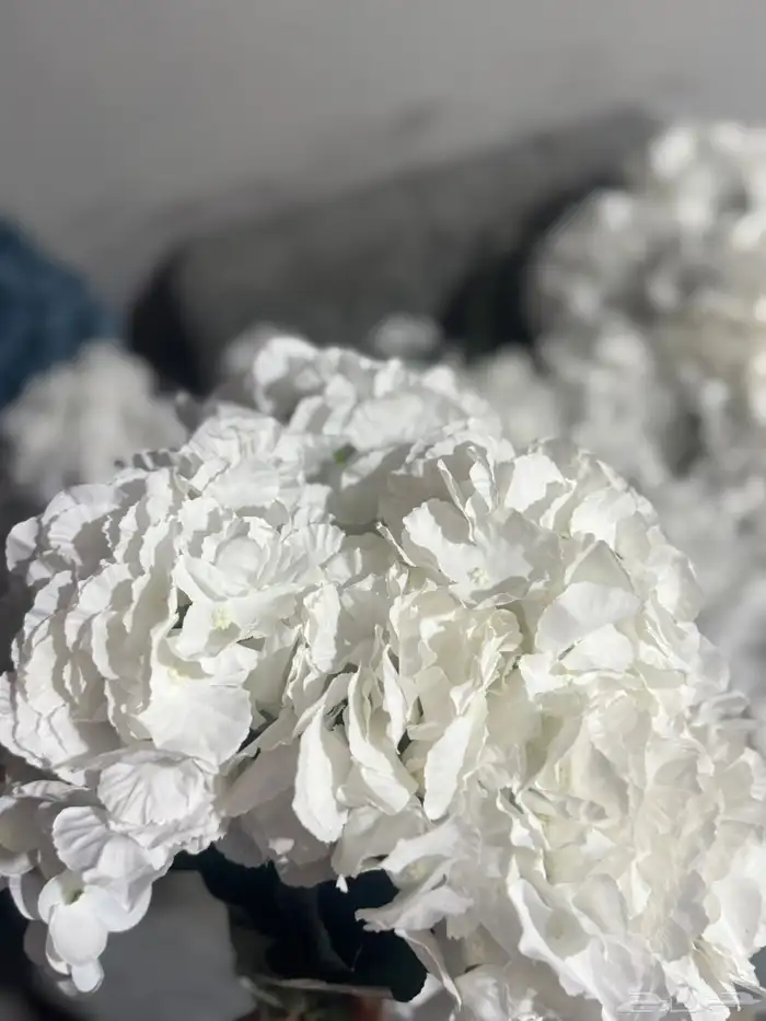 هدايا تغليف اكسوارات 71