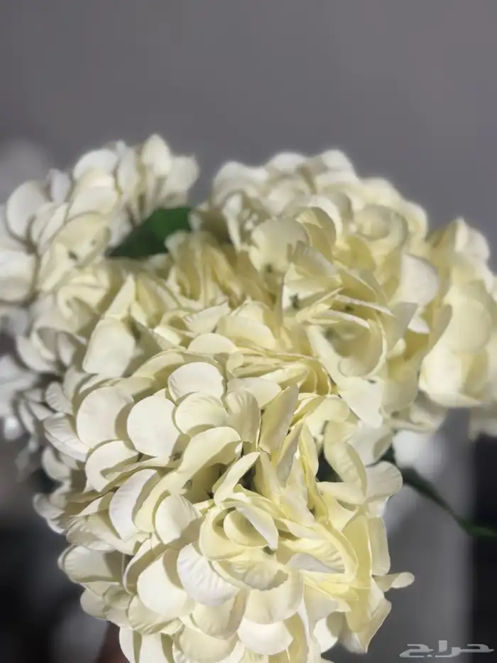 هدايا تغليف اكسوارات 65