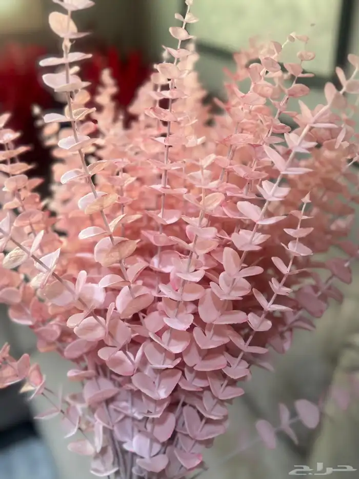 هدايا تغليف اكسوارات 80