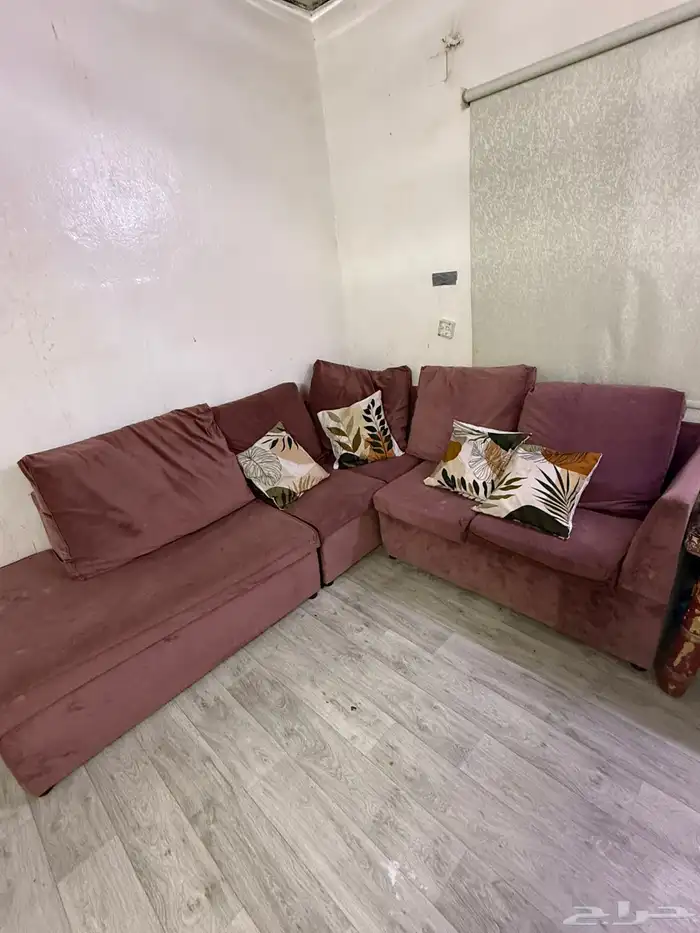 كنب. حرف L. نضيف 3