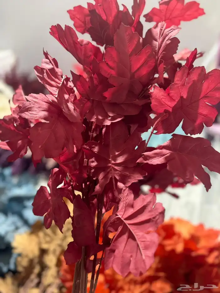 هدايا تغليف اكسوارات 42