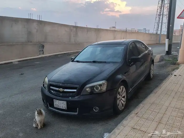 كابريس اس اس 2011 5