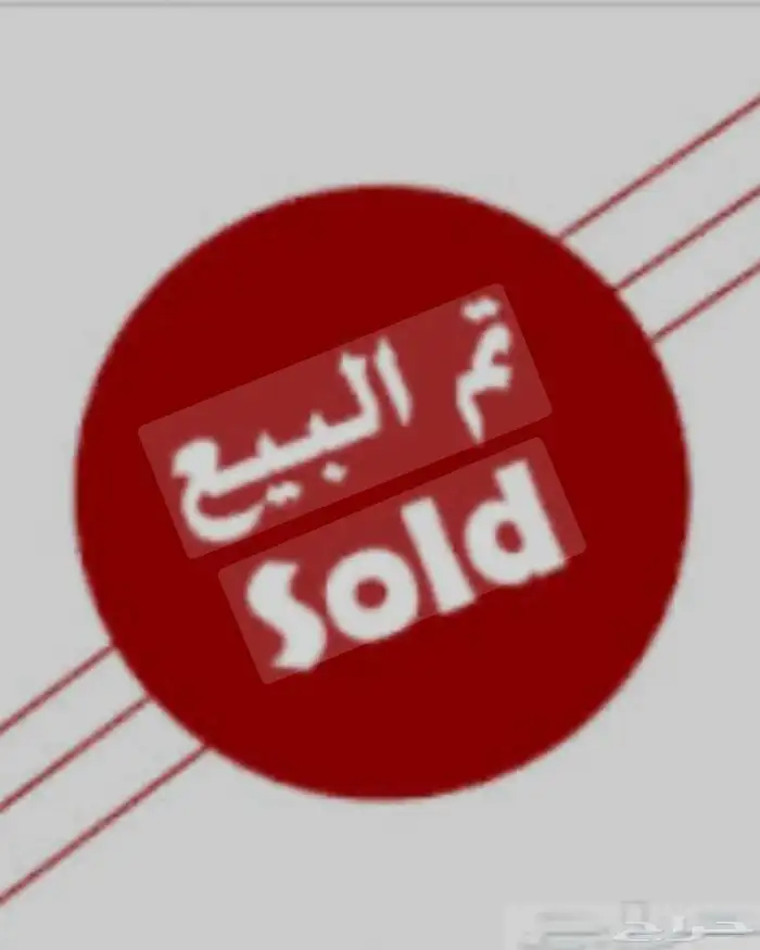 ماعز دهم تأسيس مراح ( تم البيع ) 0