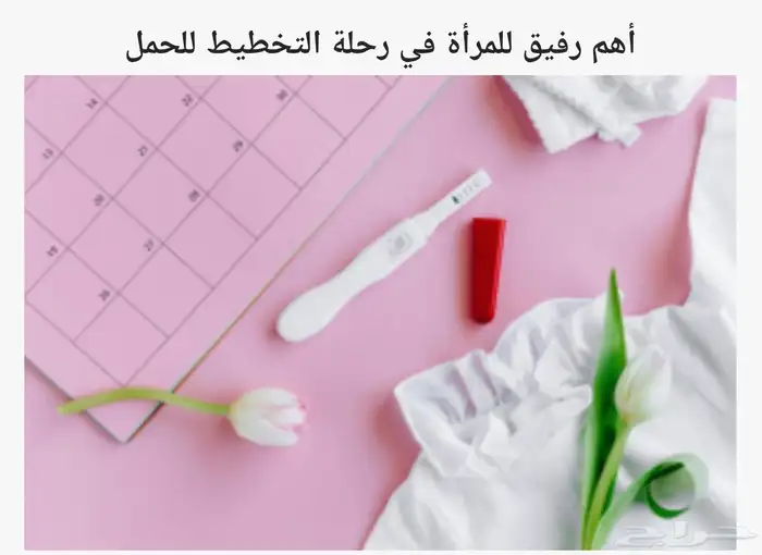 أهم رفيق للتخطيط للحمل بأذن الله 0