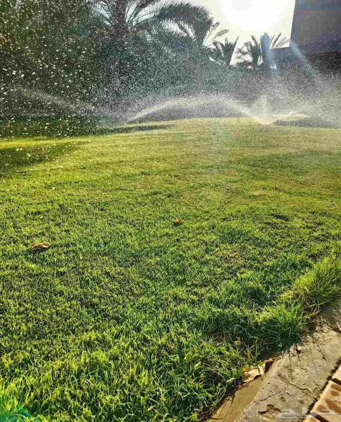 مزرعة للبيع بحي الجوهرة 4