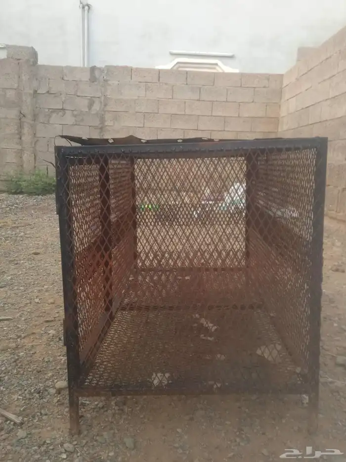 شبك ارنب او دجاج او طيور 1