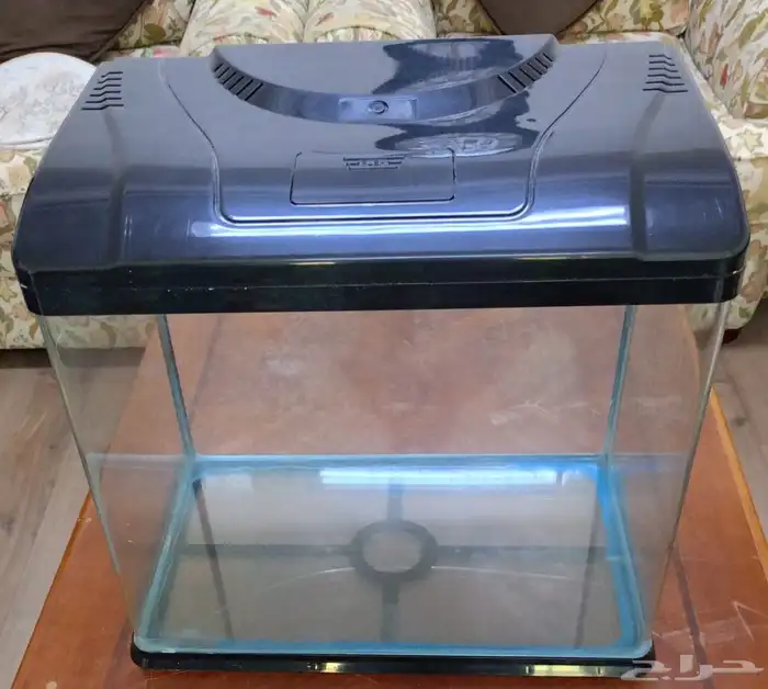 حوض تربية اسماك 0