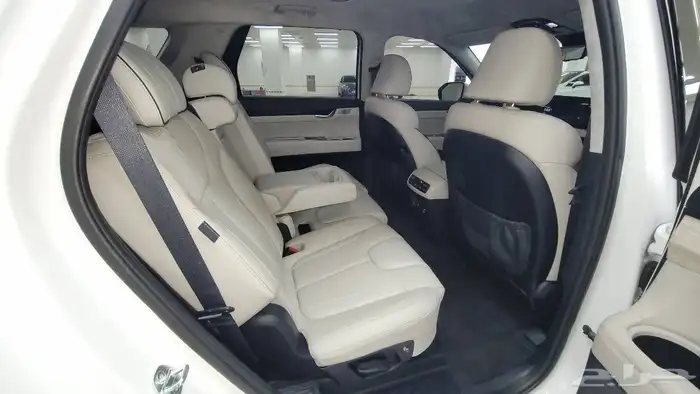 باليسيد كاليجرافي - 2023 - بنزين - دبل - 8 ركاب 28