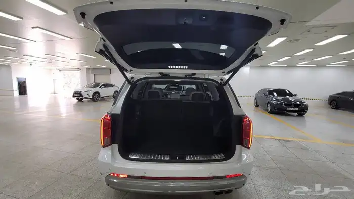 باليسيد كاليجرافي - 2023 - بنزين - دبل - 8 ركاب 30