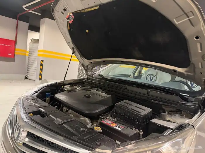 شنجان موديل 2017 ايدو 5