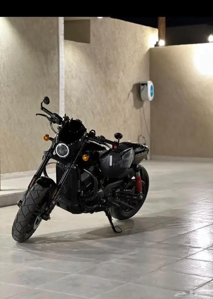 دباب هارلي ستريت رود 750 2