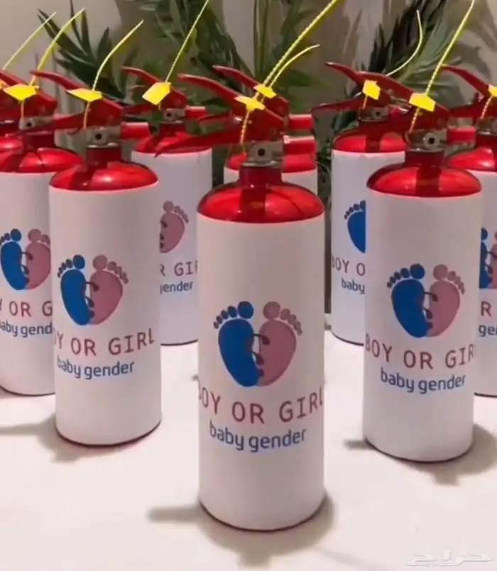 طفاية تحديد نوع الجنين 0