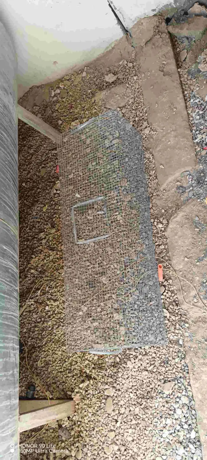 للبيع شبك نقل طويل استخدام نضيف على السوم 1